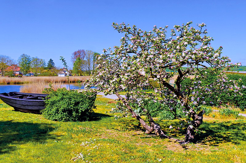 zur &Uuml;bersicht R&uuml;gen 4