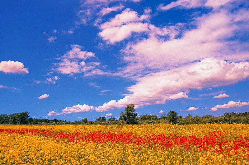 zur &Uuml;bersicht R&uuml;gen 4