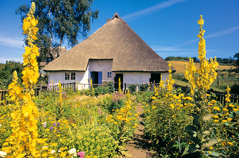zur &Uuml;bersicht R&uuml;gen 4