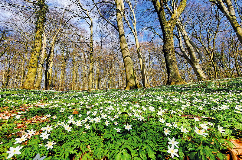 zur &Uuml;bersicht R&uuml;gen 4