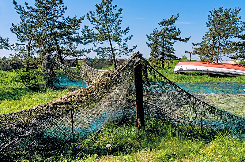 zur &Uuml;bersicht R&uuml;gen 5