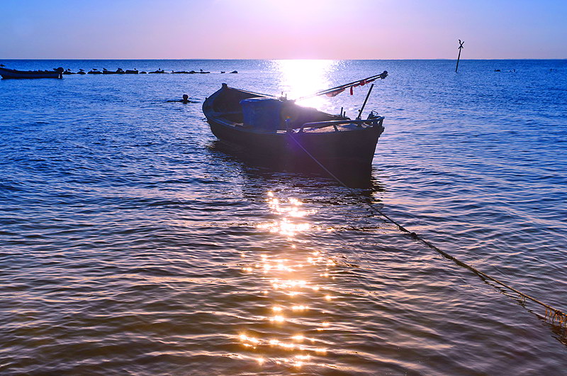 zur &Uuml;bersicht R&uuml;gen 5