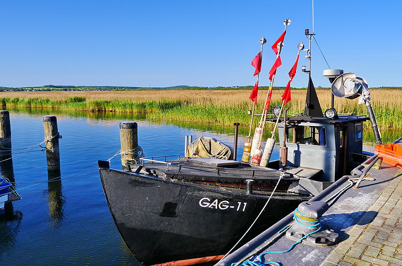zur &Uuml;bersicht R&uuml;gen 5