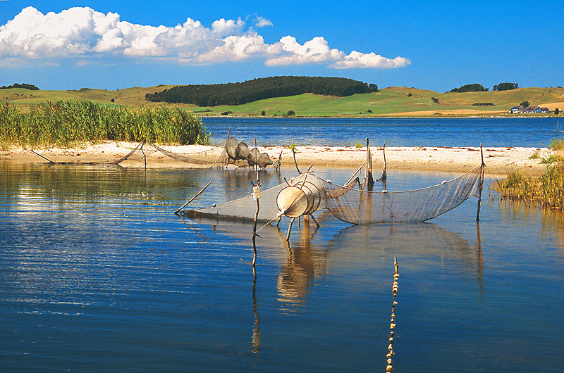 zur &Uuml;bersicht R&uuml;gen 5