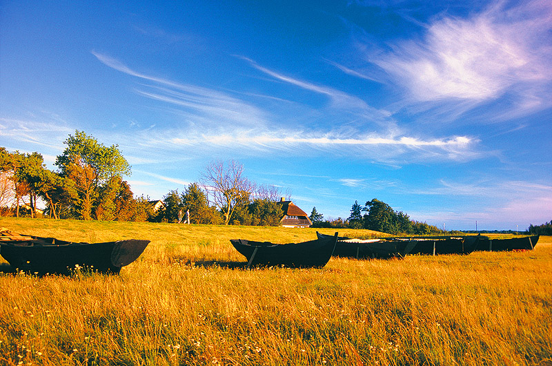 zur &Uuml;bersicht R&uuml;gen 5