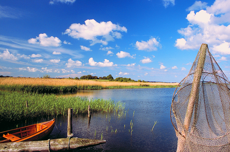 zur &Uuml;bersicht R&uuml;gen 5