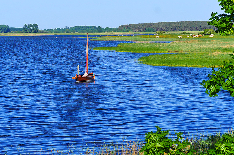 zur &Uuml;bersicht R&uuml;gen 6