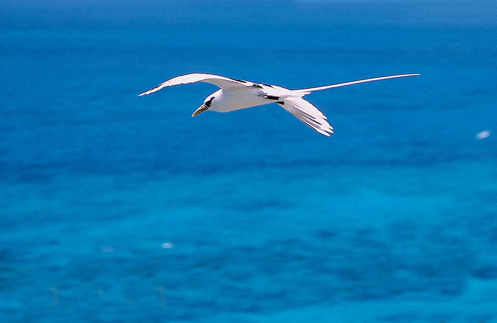 zur &Uuml;bersicht Seychellen 2