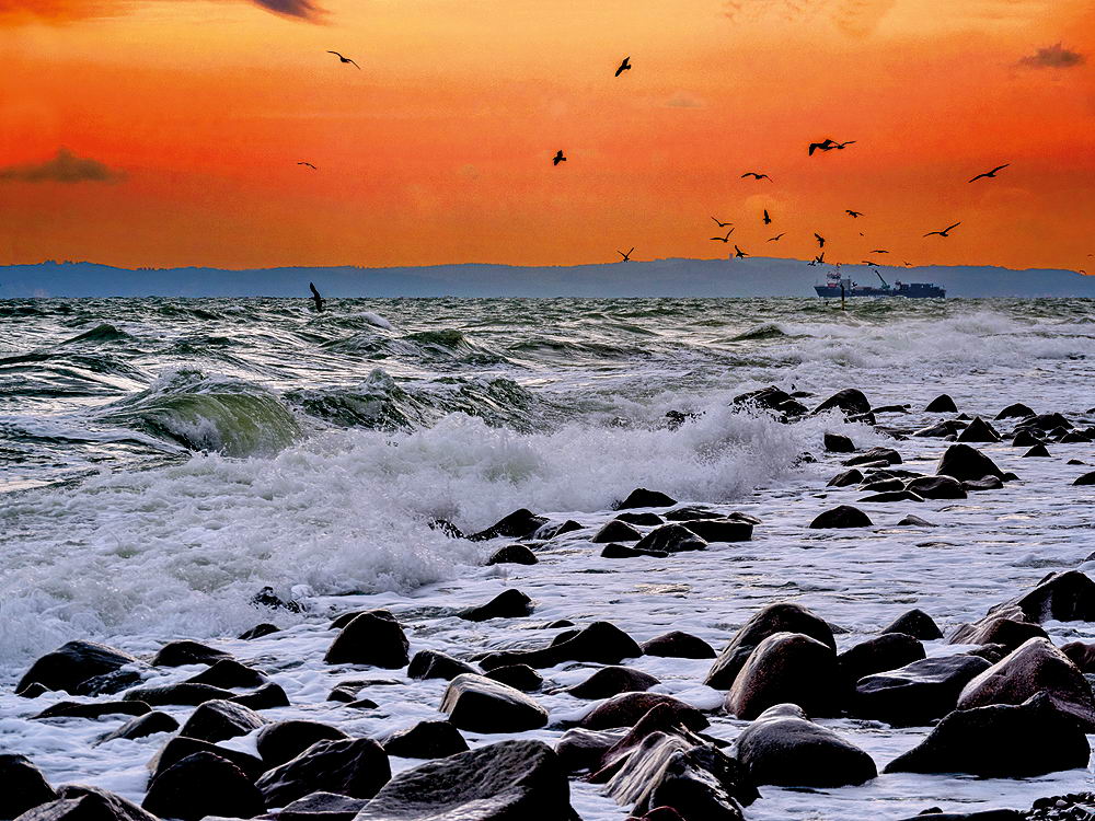 zur &Uuml;bersicht Sommer 2