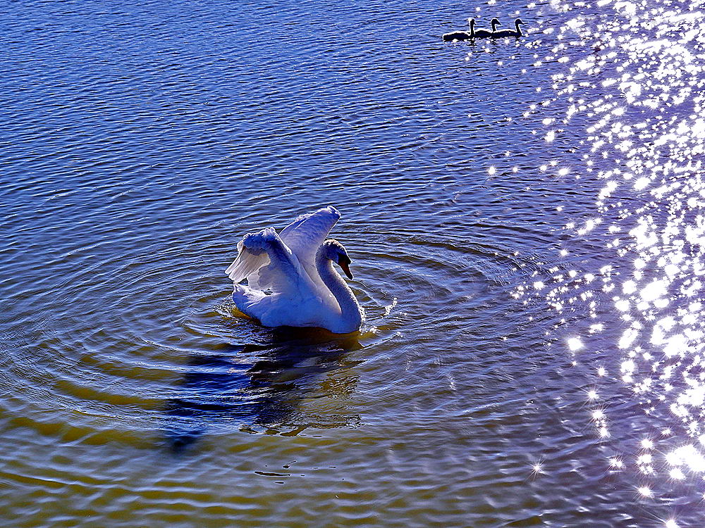 zur &Uuml;bersicht Sommer 2
