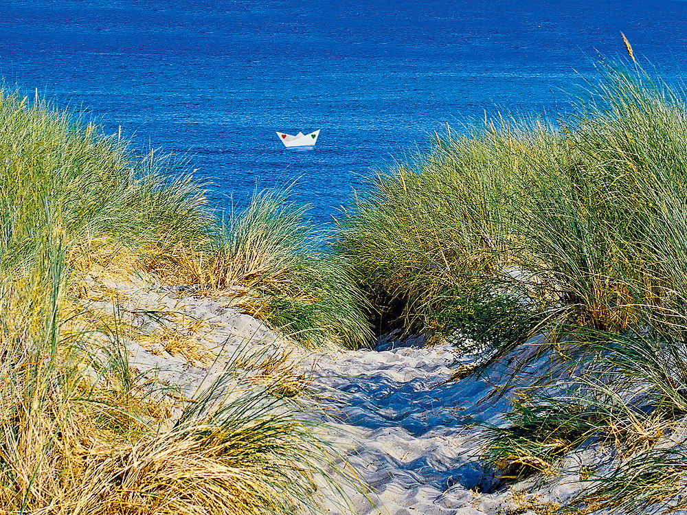 zur &Uuml;bersicht Sommer 2