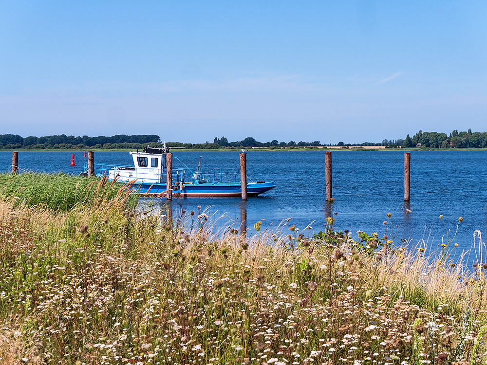 zur &Uuml;bersicht Sommer 2