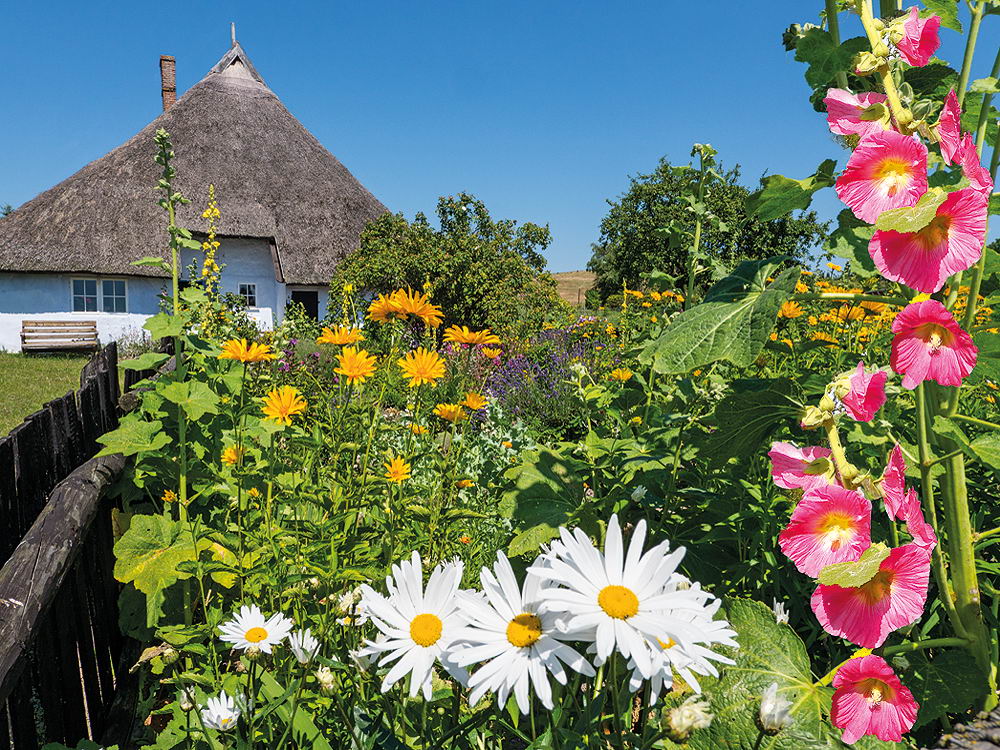 zur &Uuml;bersicht Sommer 3