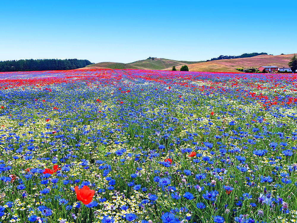 zur &Uuml;bersicht Sommer 3