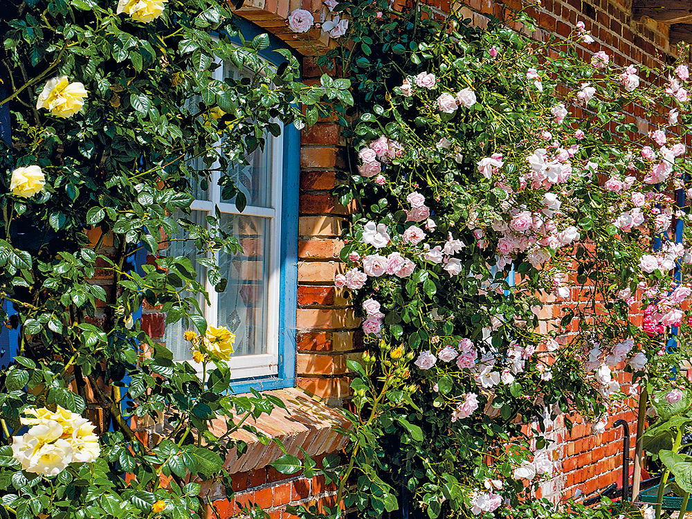 zur &Uuml;bersicht Sommer 3