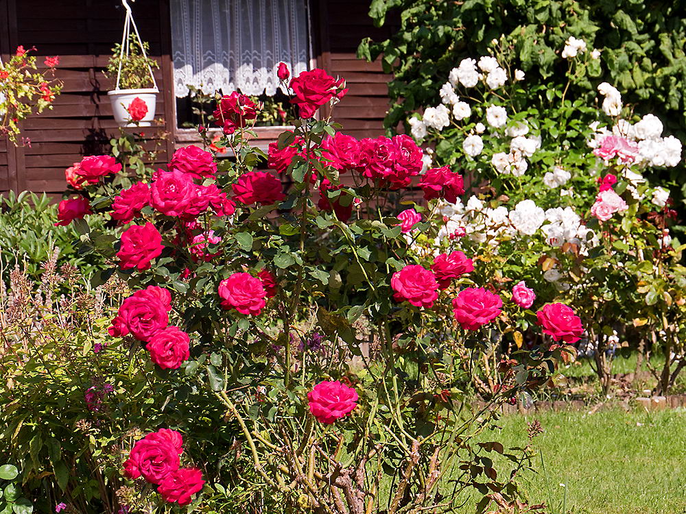 zur &Uuml;bersicht Sommer 3