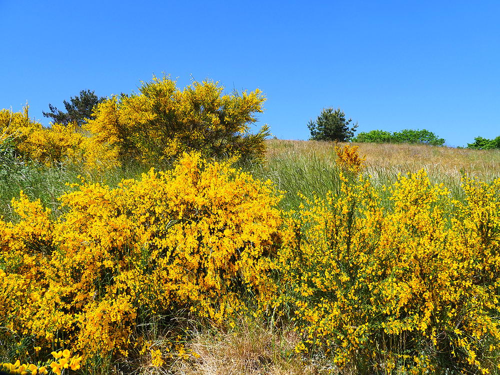 zur &Uuml;bersicht Sommer 3