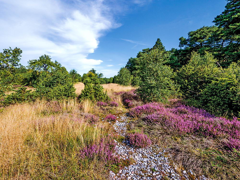 zur &Uuml;bersicht Sommer 3