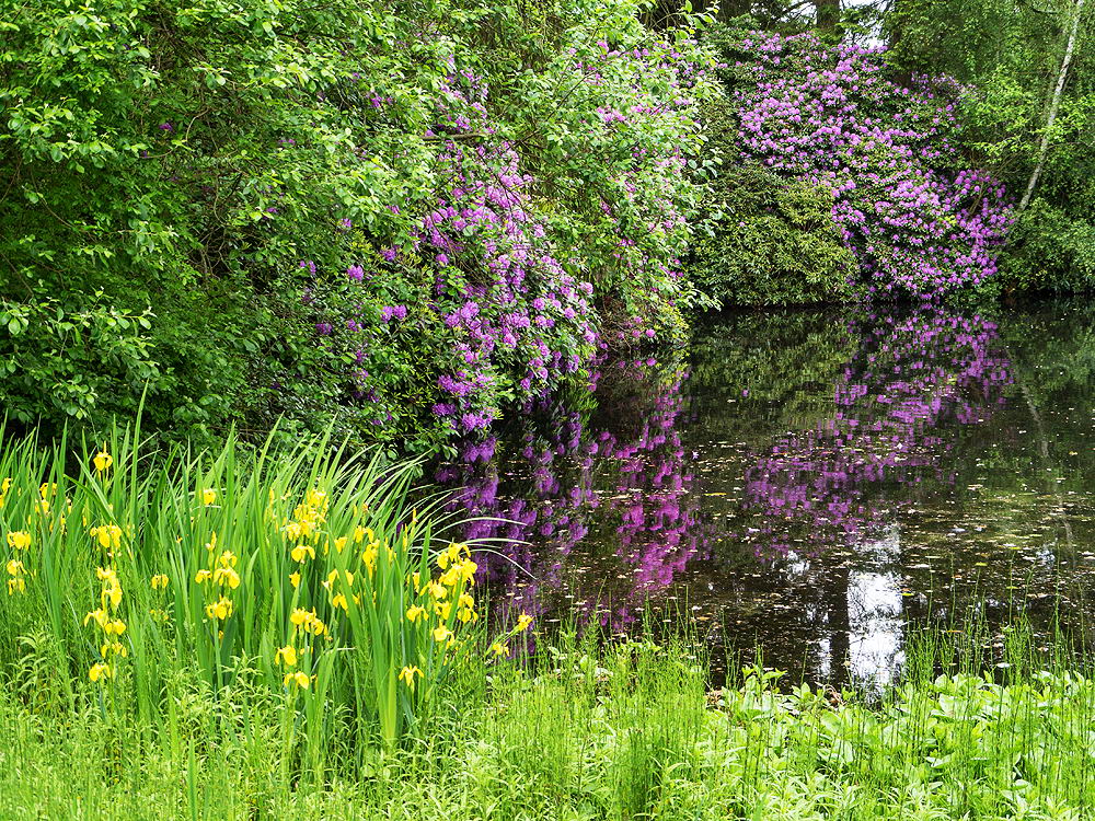 zur &Uuml;bersicht Sommer 4