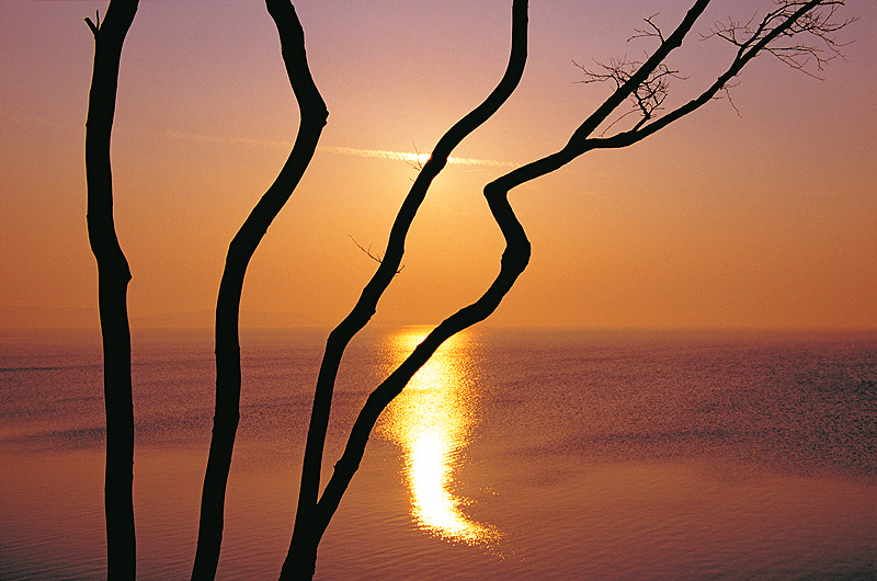 zur &Uuml;bersicht Sonnen-Symphonien 4