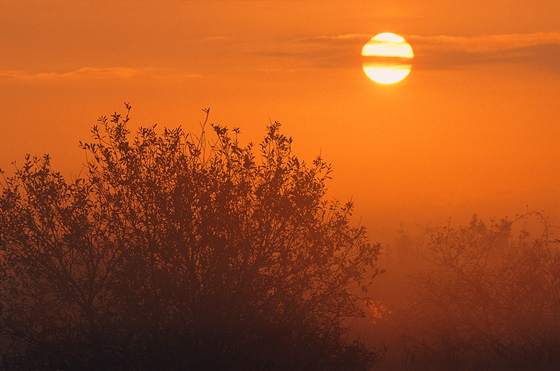 zur &Uuml;bersicht Sonnen-Symphonien 4