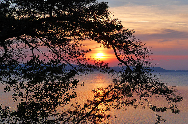 zur &Uuml;bersicht Sonnen-Symphonien 4