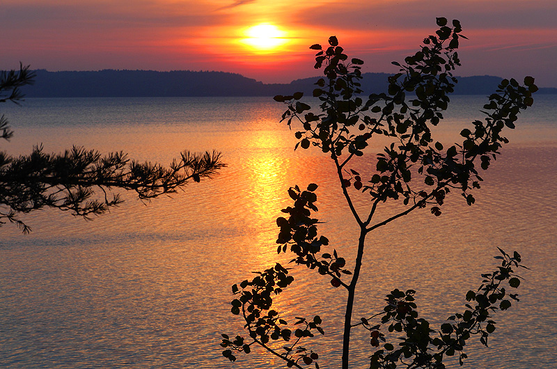 zur &Uuml;bersicht Sonnen-Symphonien 4