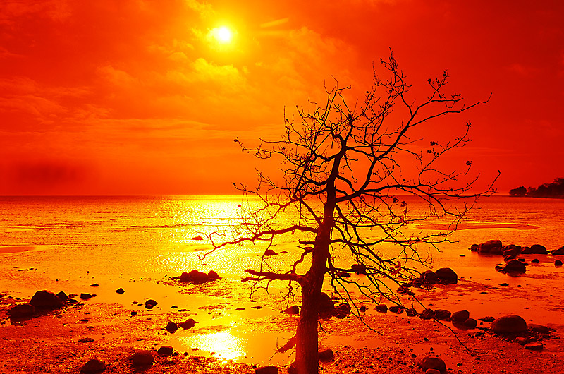 zur &Uuml;bersicht Sonnen-Symphonien 5