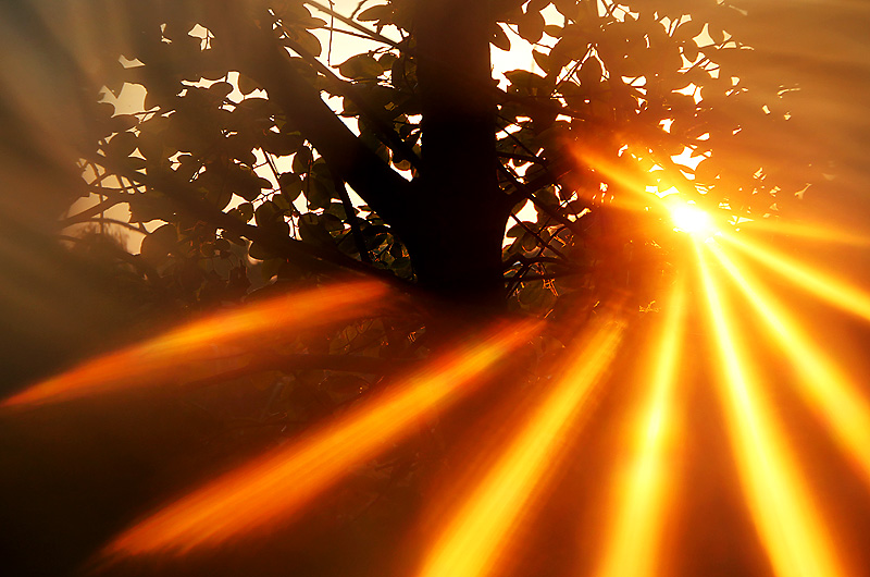 zur &Uuml;bersicht Sonnen-Symphonien 5