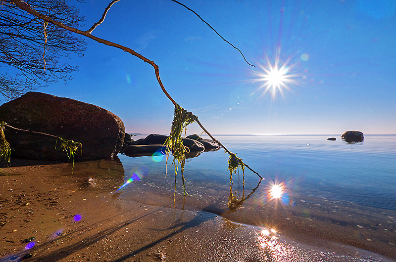 zur &Uuml;bersicht Sonnen-Symphonien 5