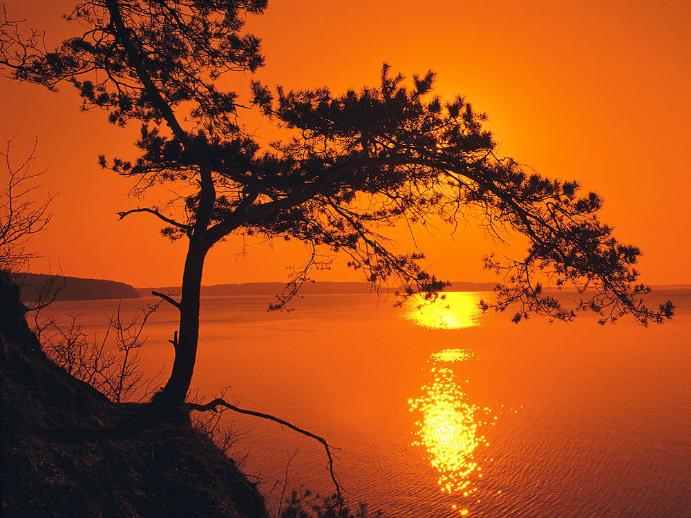 zur &Uuml;bersicht Sonnen-Symphonien 6