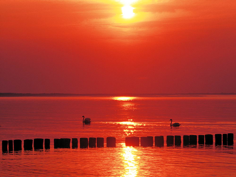 zur &Uuml;bersicht Sonnen-Symphonien 6