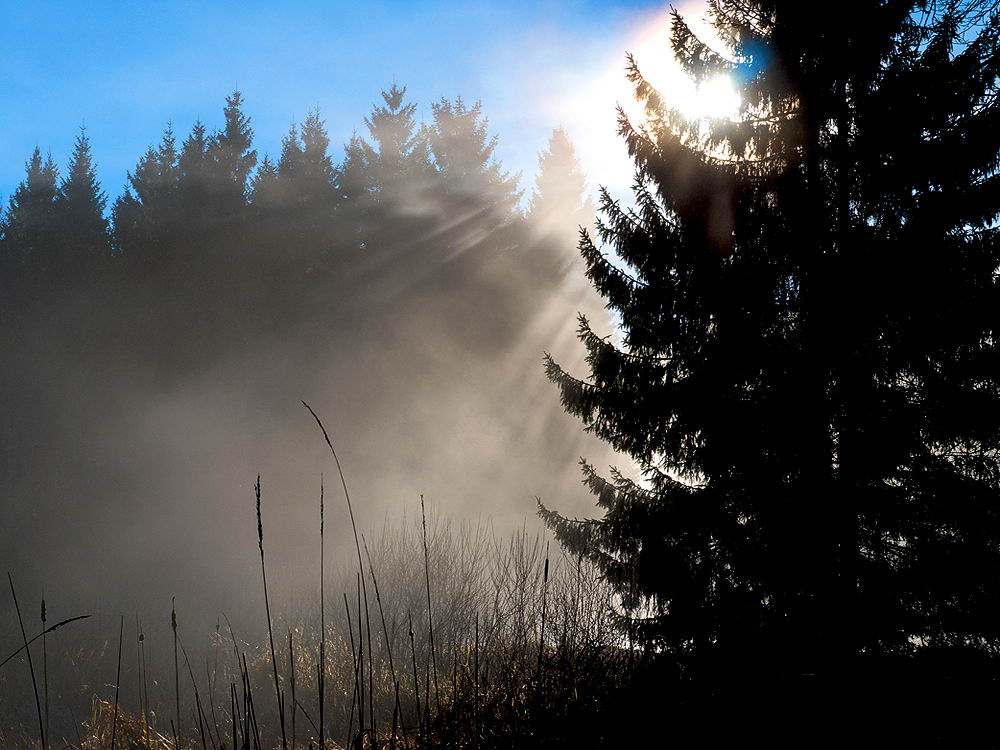 zur &Uuml;bersicht Sonnen-Symphonien 6