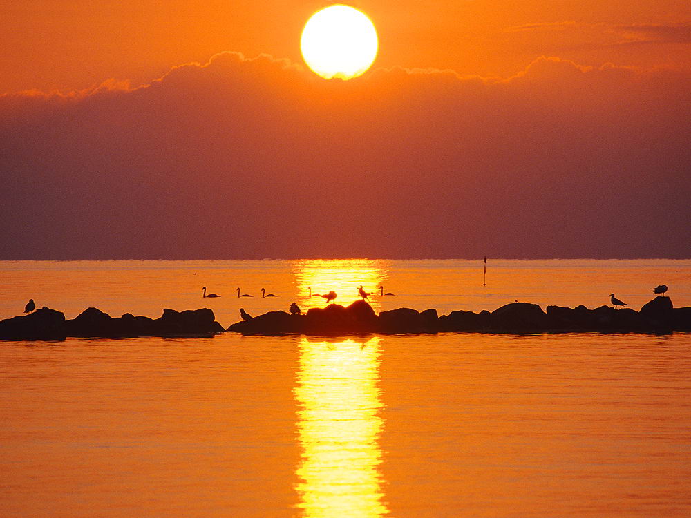 zur &Uuml;bersicht Sonnen-Symphonien 6