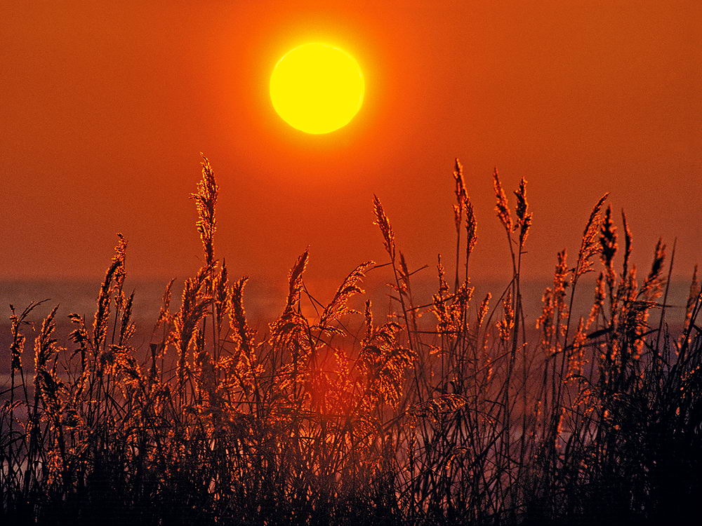 zur &Uuml;bersicht Sonnen-Symphonien 6