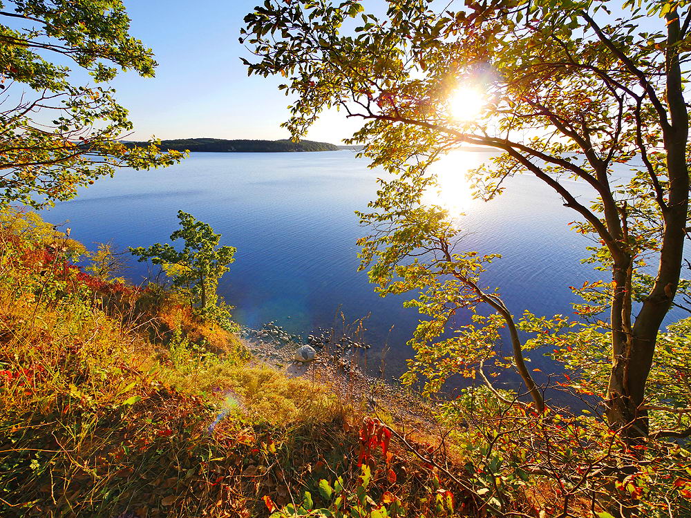 zur &Uuml;bersicht Sonnen-Symphonien 7