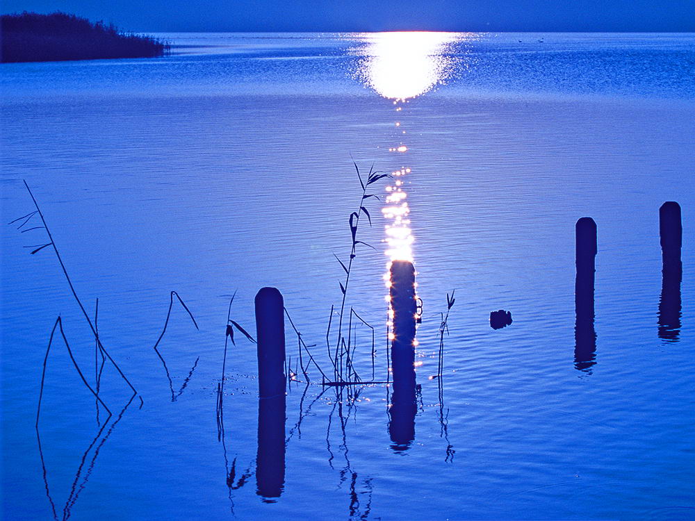 zur &Uuml;bersicht Sonnen-Symphonien 7