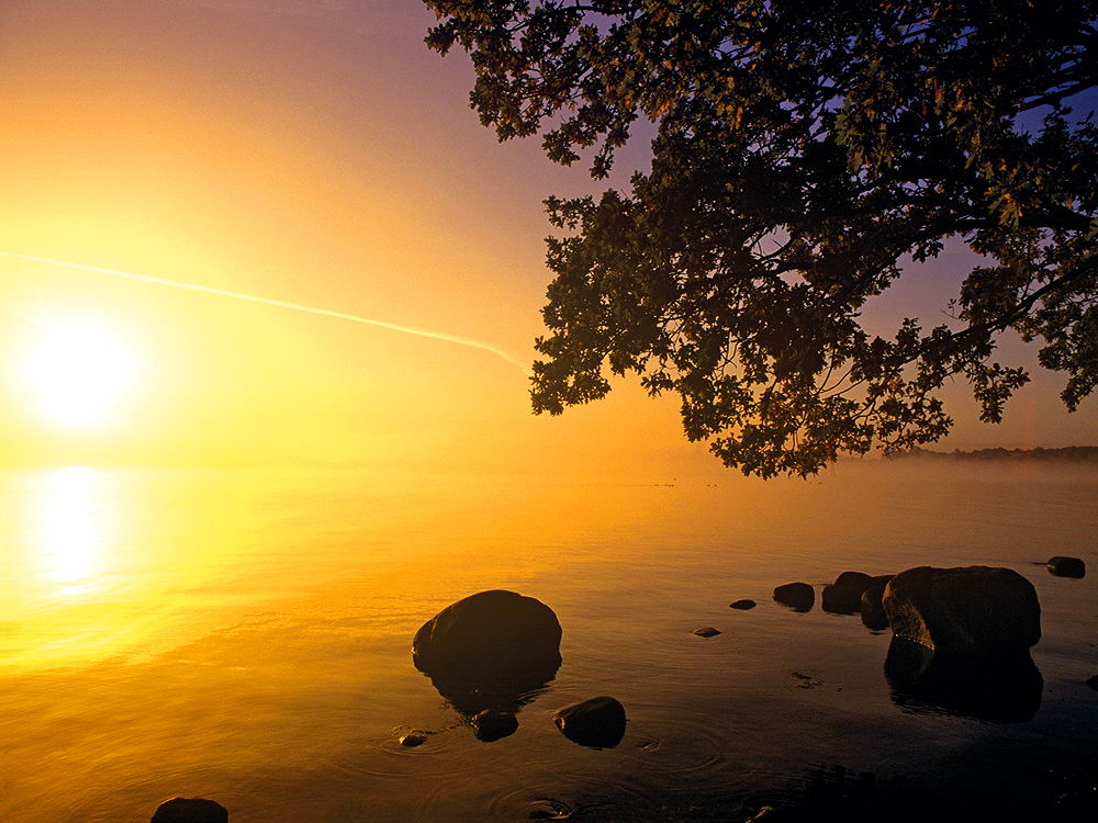 zur &Uuml;bersicht Sonnen-Symphonien 8