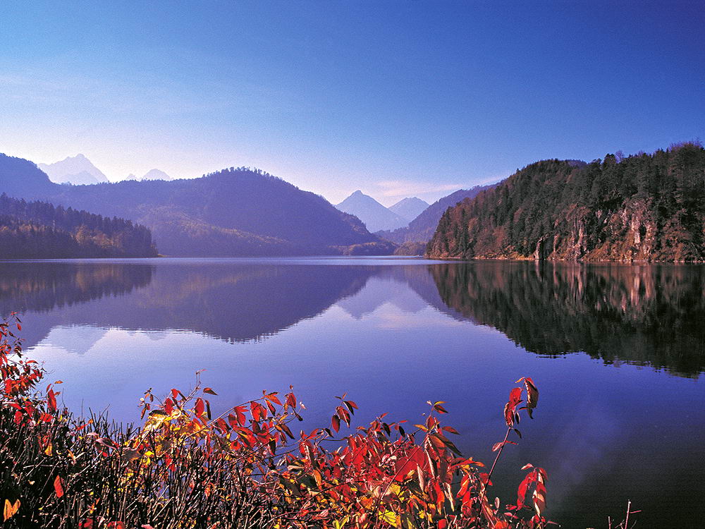 zur &Uuml;bersicht Spiegelbilder 2