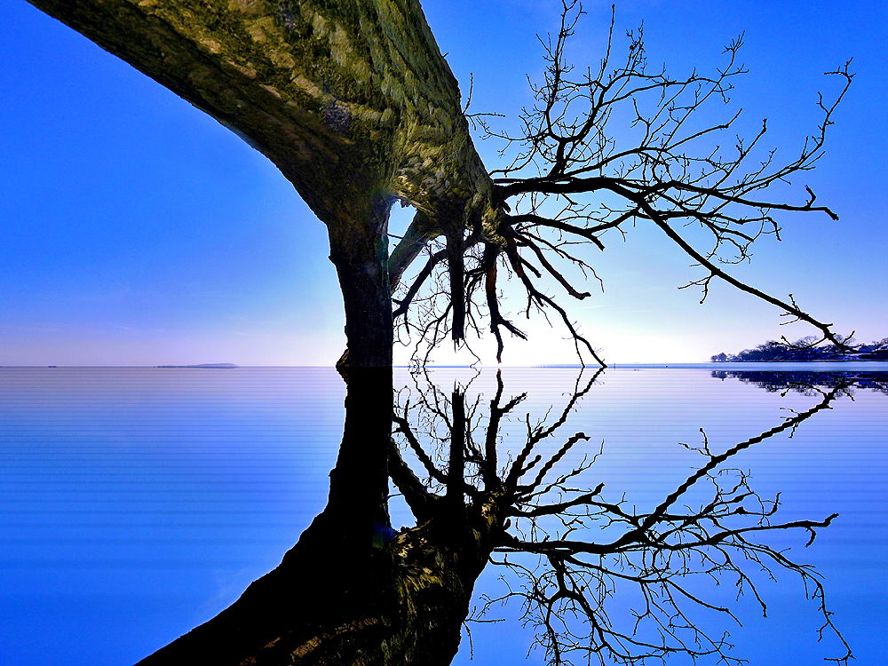 zur &Uuml;bersicht Spiegelbilder 2