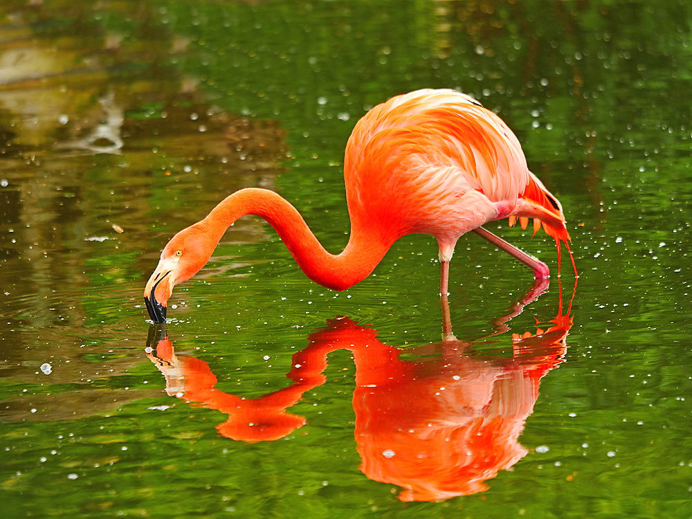 zur &Uuml;bersicht Spiegelbilder 3