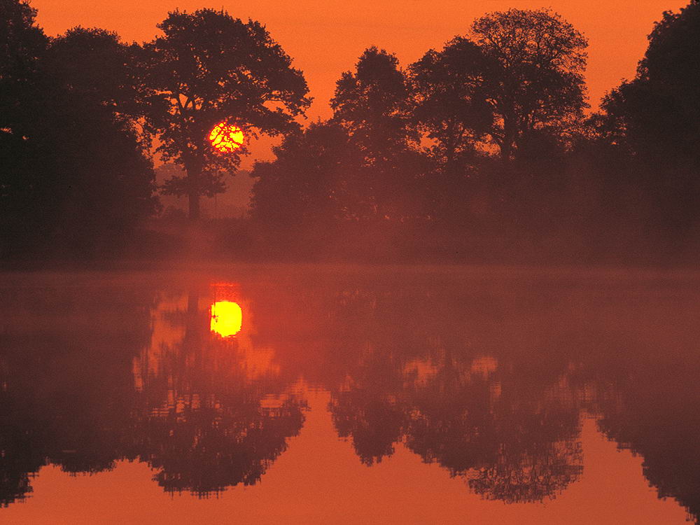 zur &Uuml;bersicht Spiegelbilder 3
