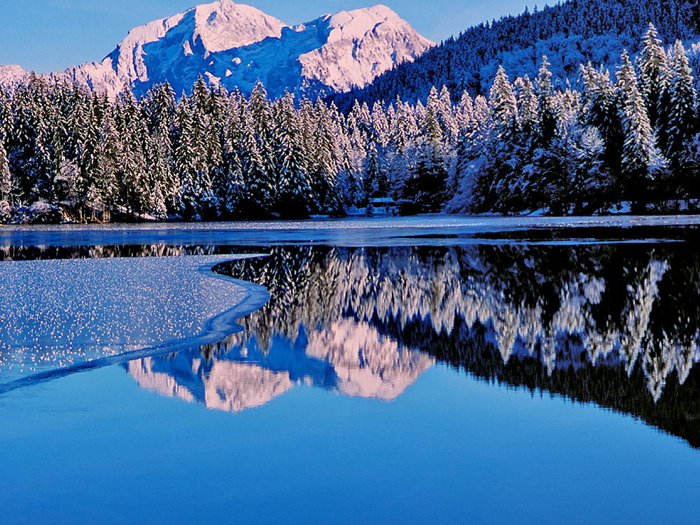 zur &Uuml;bersicht Spiegelbilder 4