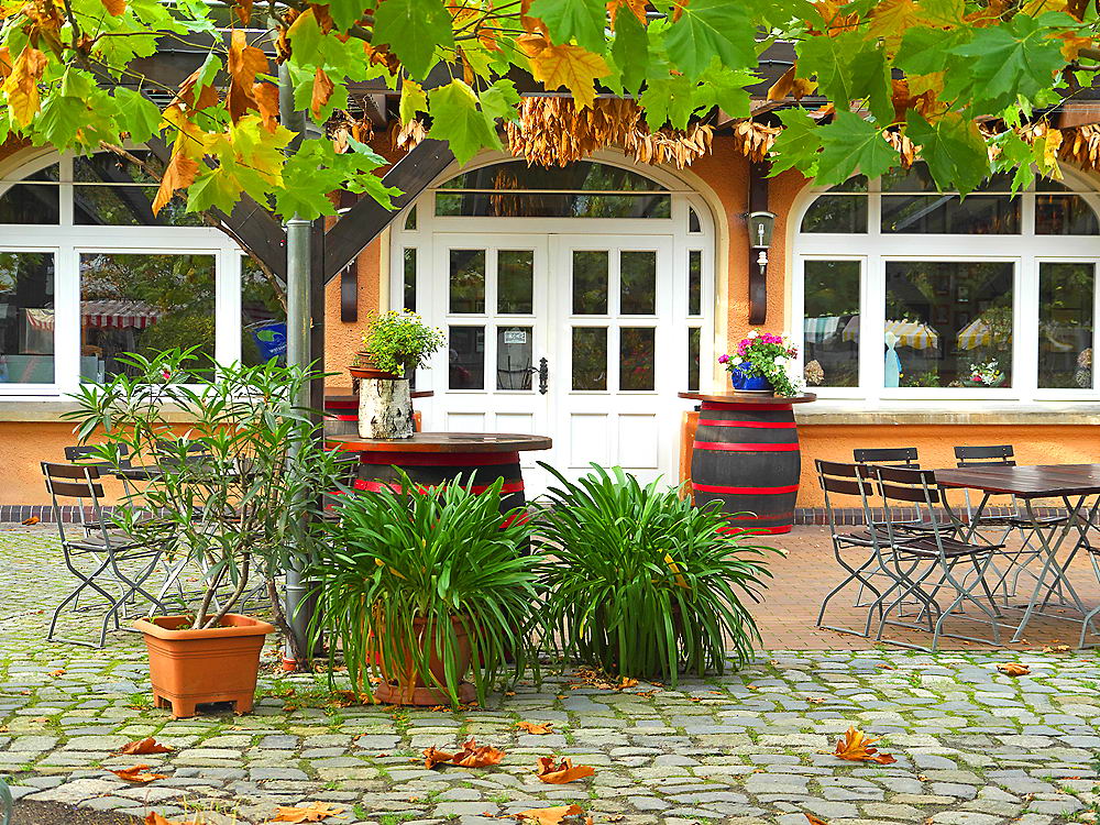 zur &Uuml;bersicht Spreewald 3