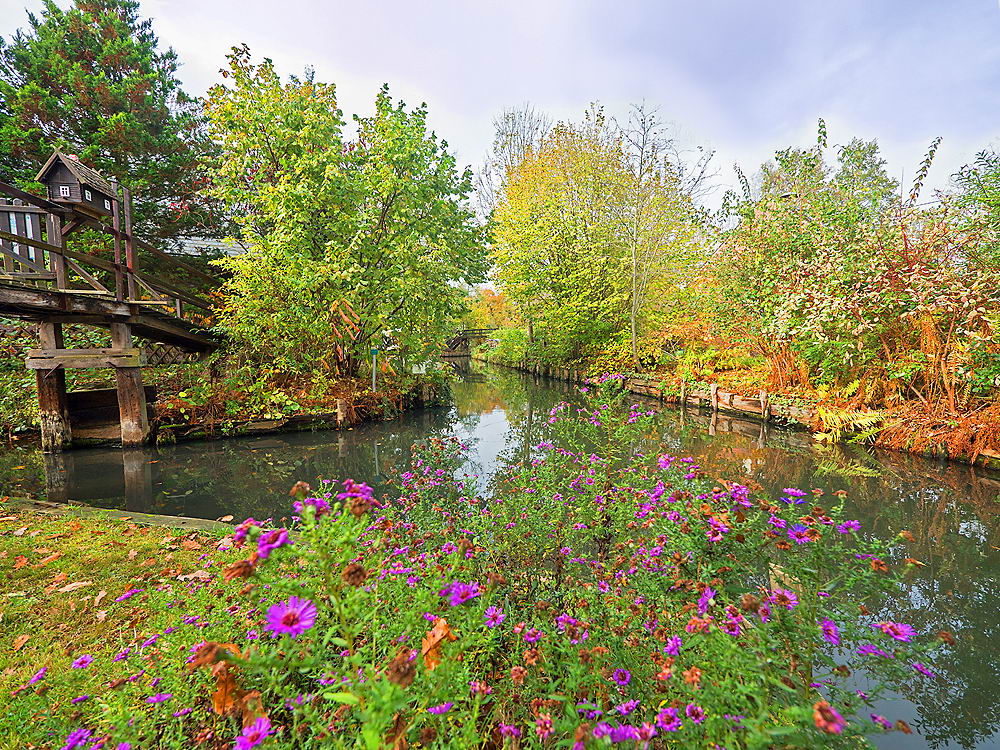 zur &Uuml;bersicht Spreewald 3