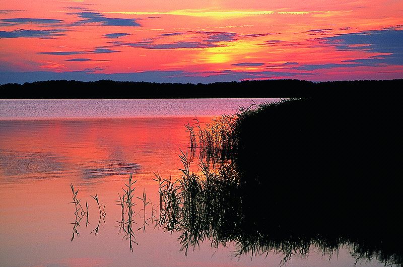 zur &Uuml;bersicht Stille III