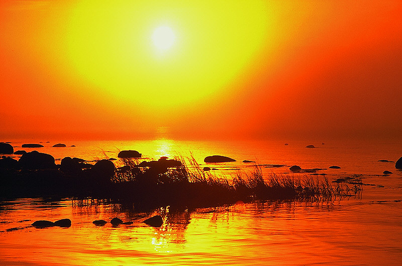 zur &Uuml;bersicht Stille III