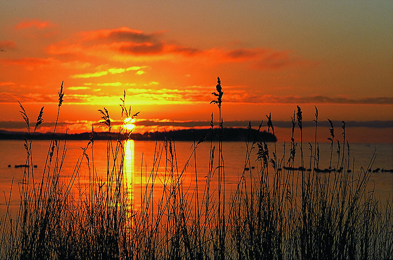 zur &Uuml;bersicht Stille III