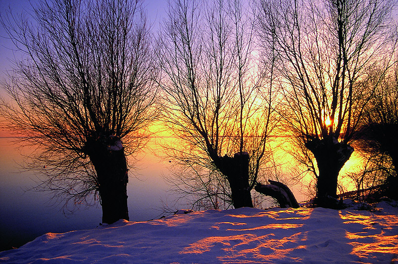 zur &Uuml;bersicht Stille 4