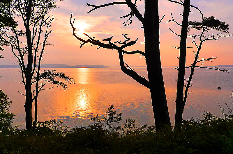 zur &Uuml;bersicht Stille 5